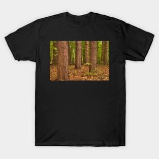 Pine Pine Pine Everywhere © T-Shirt